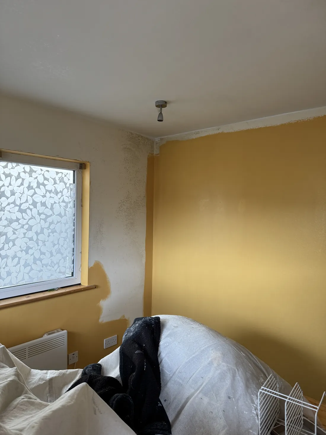 Warm yellow feature wall in a Dublin home
