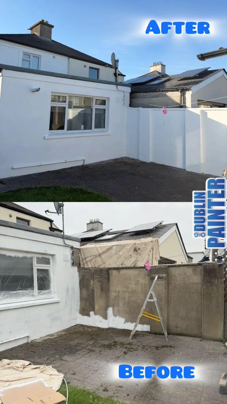 Rear garden walls and house exterior freshly painted white in a Dublin back garden